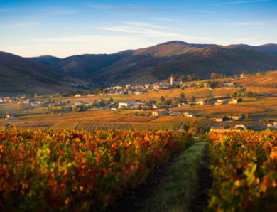 Rhône-Alpes Conseils : Quel est le type de climat de la région Rhône-Alpes ?