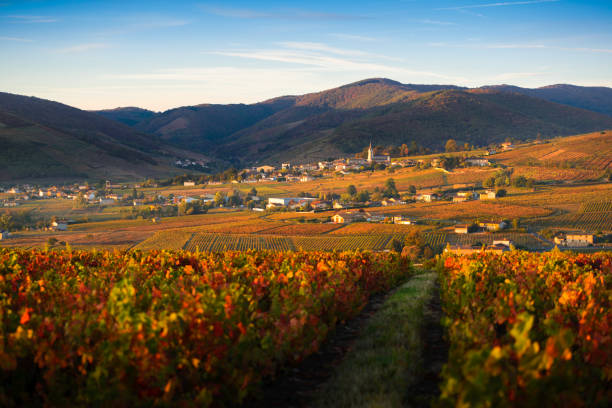 Rhône-Alpes Conseils : Quel est le type de climat de la région Rhône-Alpes ?